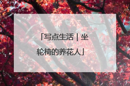 写点生活｜坐轮椅的养花人