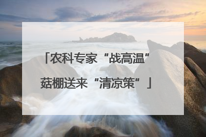 农科专家“战高温” 菇棚送来“清凉策”