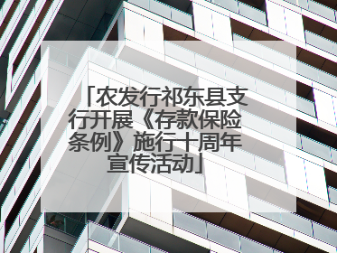 农发行祁东县支行开展《存款保险条例》施行十周年宣传活动