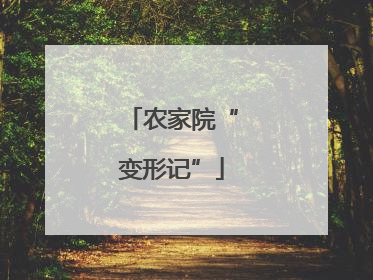 农家院“变形记”