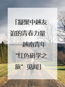 凝聚中越友谊的青春力量——越南青年“红色研学之旅”见闻
