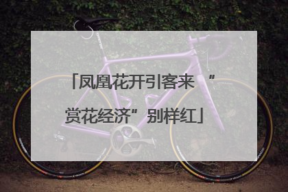 凤凰花开引客来 “赏花经济”别样红