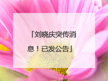 刘晓庆突传消息！已发公告
