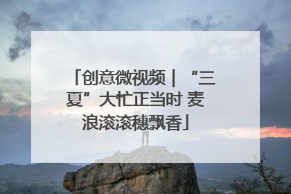 创意微视频｜“三夏”大忙正当时 麦浪滚滚穗飘香