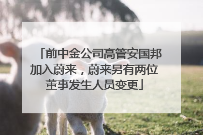 前中金公司高管安国邦加入蔚来，蔚来另有两位董事发生人员变更