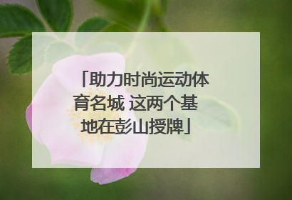助力时尚运动体育名城 这两个基地在彭山授牌