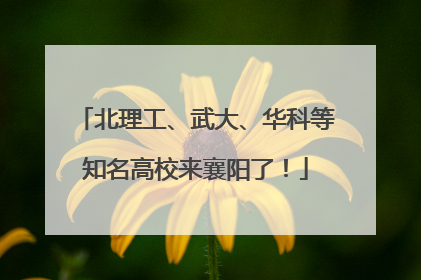北理工、武大、华科等知名高校来襄阳了！