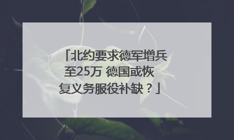 北约要求德军增兵至25万 德国或恢复义务服役补缺？