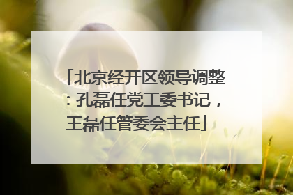 北京经开区领导调整：孔磊任党工委书记，王磊任管委会主任