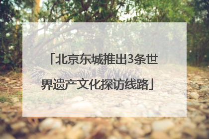 北京东城推出3条世界遗产文化探访线路