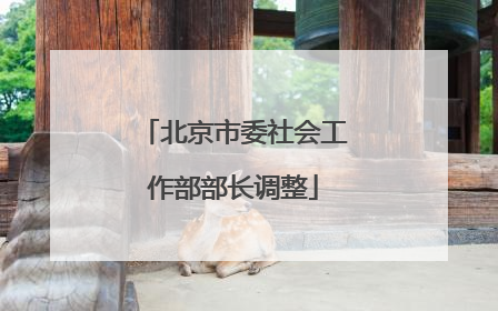 北京市委社会工作部部长调整