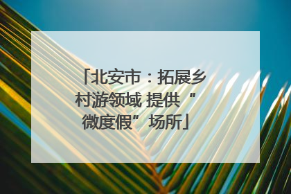 北安市：拓展乡村游领域 提供“微度假”场所