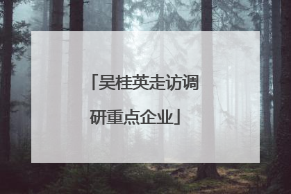 吴桂英走访调研重点企业