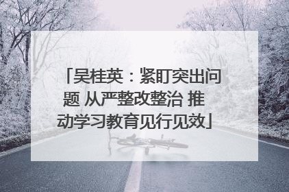 吴桂英：紧盯突出问题 从严整改整治 推动学习教育见行见效