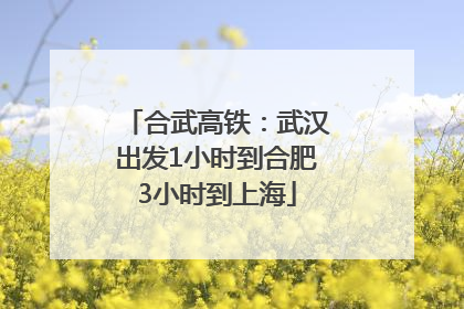 合武高铁：武汉出发1小时到合肥3小时到上海