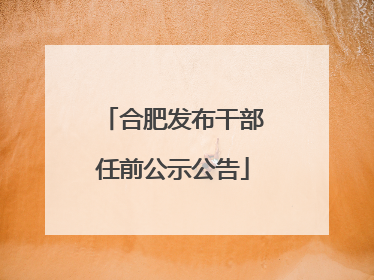 合肥发布干部任前公示公告