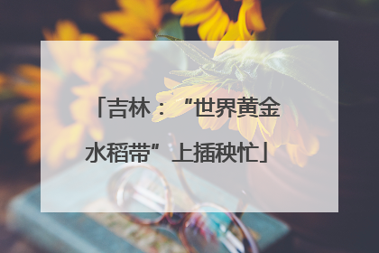 吉林：“世界黄金水稻带”上插秧忙