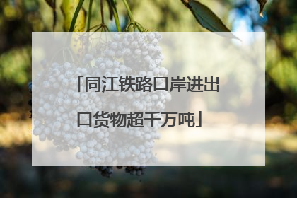 同江铁路口岸进出口货物超千万吨