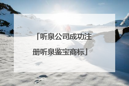听泉公司成功注册听泉鉴宝商标