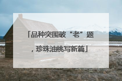 品种突围破“老”题，珍珠油桃写新篇