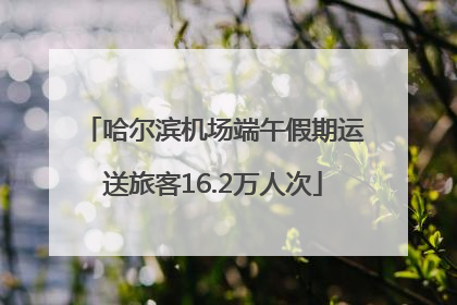 哈尔滨机场端午假期运送旅客16.2万人次