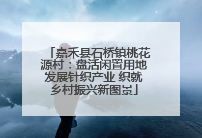 嘉禾县石桥镇桃花源村：盘活闲置用地发展针织产业 织就乡村振兴新图景