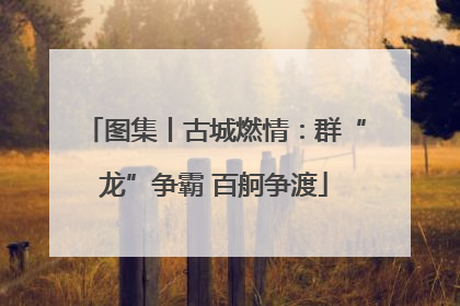 图集丨古城燃情：群“龙”争霸 百舸争渡