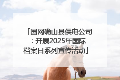 国网确山县供电公司：开展2025年国际档案日系列宣传活动