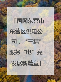国网东营市东营区供电公司：“三精”服务“电”亮发展新篇章