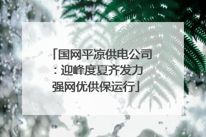 国网平凉供电公司：迎峰度夏齐发力 强网优供保运行