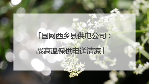 国网西乡县供电公司：战高温保供电送清凉