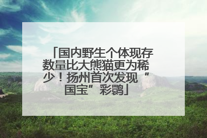 国内野生个体现存数量比大熊猫更为稀少！扬州首次发现“国宝”彩鹮