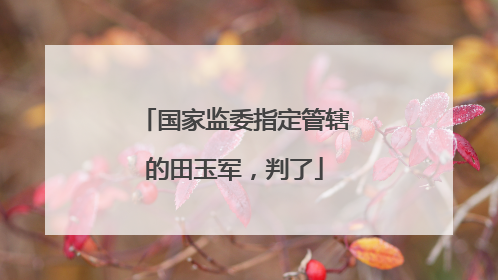 国家监委指定管辖的田玉军，判了