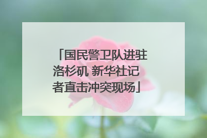 国民警卫队进驻洛杉矶 新华社记者直击冲突现场