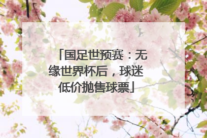 国足世预赛：无缘世界杯后，球迷低价抛售球票