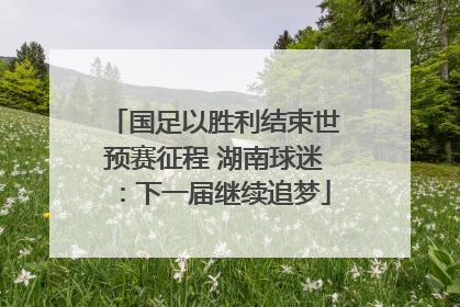国足以胜利结束世预赛征程 湖南球迷：下一届继续追梦