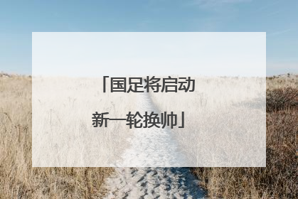 国足将启动新一轮换帅