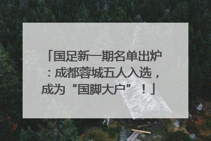 国足新一期名单出炉：成都蓉城五人入选，成为“国脚大户”！