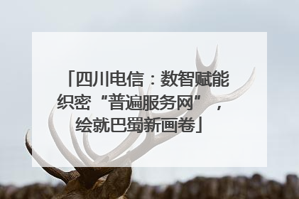四川电信：数智赋能织密“普遍服务网”，绘就巴蜀新画卷
