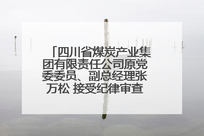 四川省煤炭产业集团有限责任公司原党委委员、副总经理张万松 接受纪律审查和监察调查