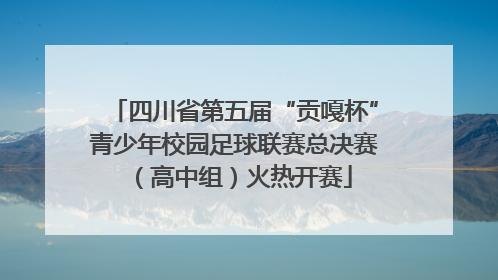 四川省第五届“贡嘎杯”青少年校园足球联赛总决赛（高中组）火热开赛