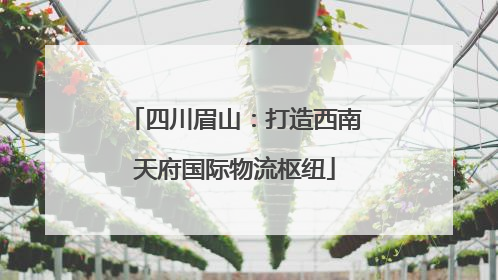 四川眉山：打造西南天府国际物流枢纽