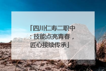 四川仁寿二职中：技能点亮青春，匠心接续传承