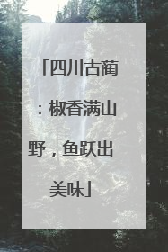 四川古蔺：椒香满山野，鱼跃出美味