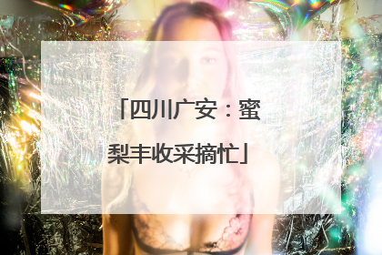 四川广安：蜜梨丰收采摘忙