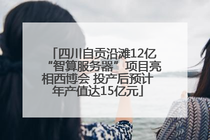 四川自贡沿滩12亿“智算服务器”项目亮相西博会 投产后预计年产值达15亿元