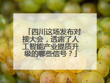 四川这场发布对接大会，透露了人工智能产业提质升级的哪些信号？