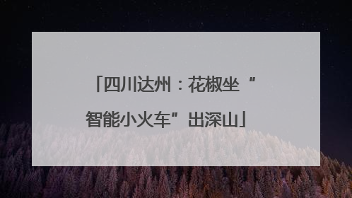 四川达州：花椒坐“智能小火车”出深山