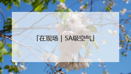 在现场｜5A级空气