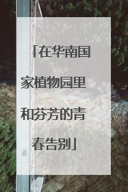 在华南国家植物园里和芬芳的青春告别